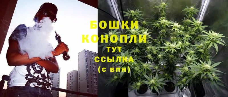 hydra ссылки  Бокситогорск  Марихуана THC 21%  наркота 